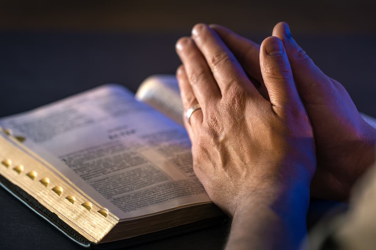 Praying Hands